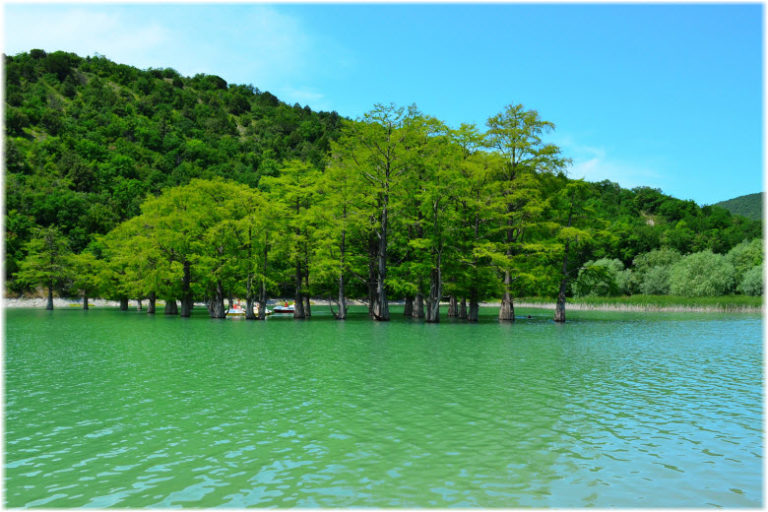 Сукко кипарисовое озеро фото
