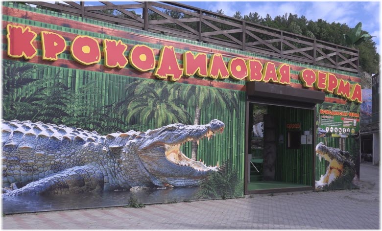 Крокодиловая ферма в Ольгинке