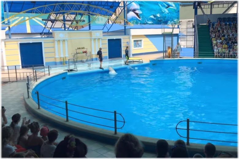 Небуг аквапарк дельфин фото