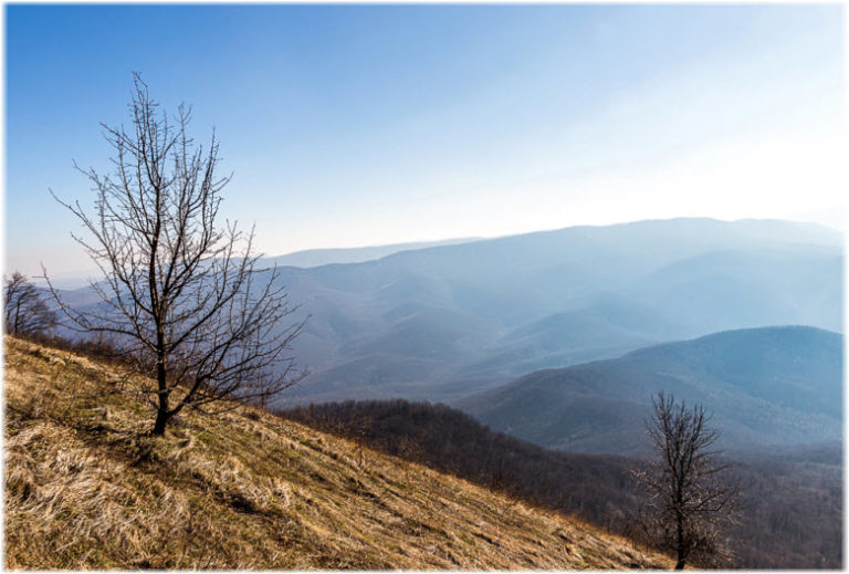 Собер баш гора фото