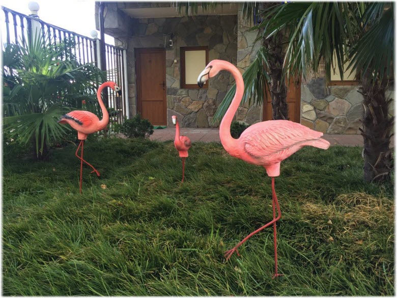 гостиница Фламинго