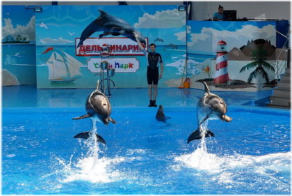 дельфинарий в Сочи-парке