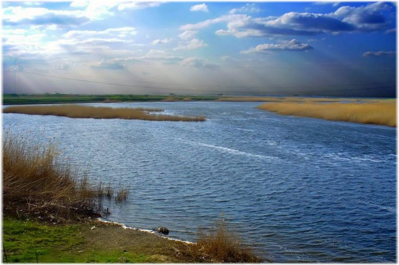 Река Ея в Краснодарском крае