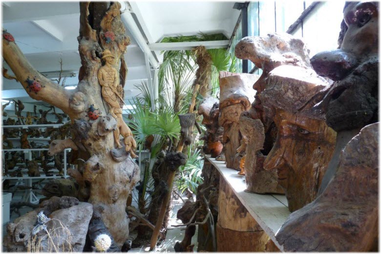Музей Причуды леса в Джубге