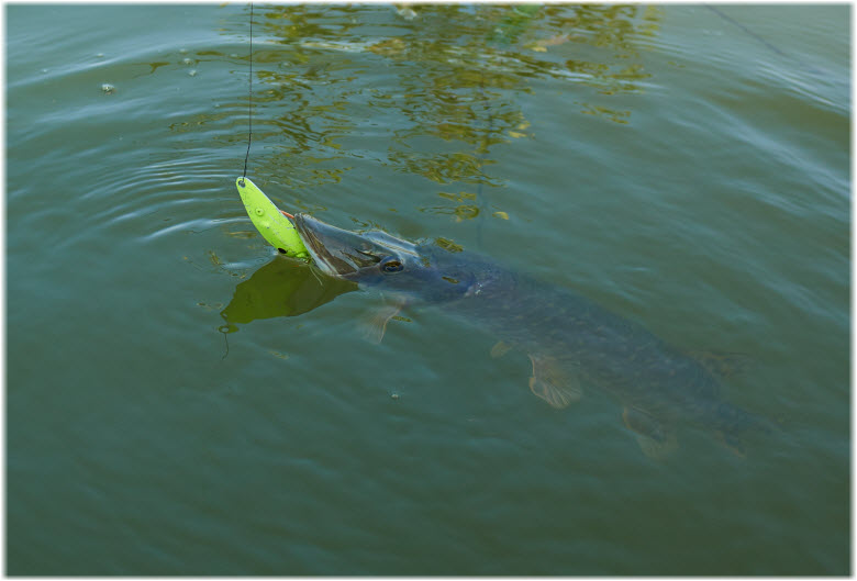 рыбалка на Краснодарском водохранилище